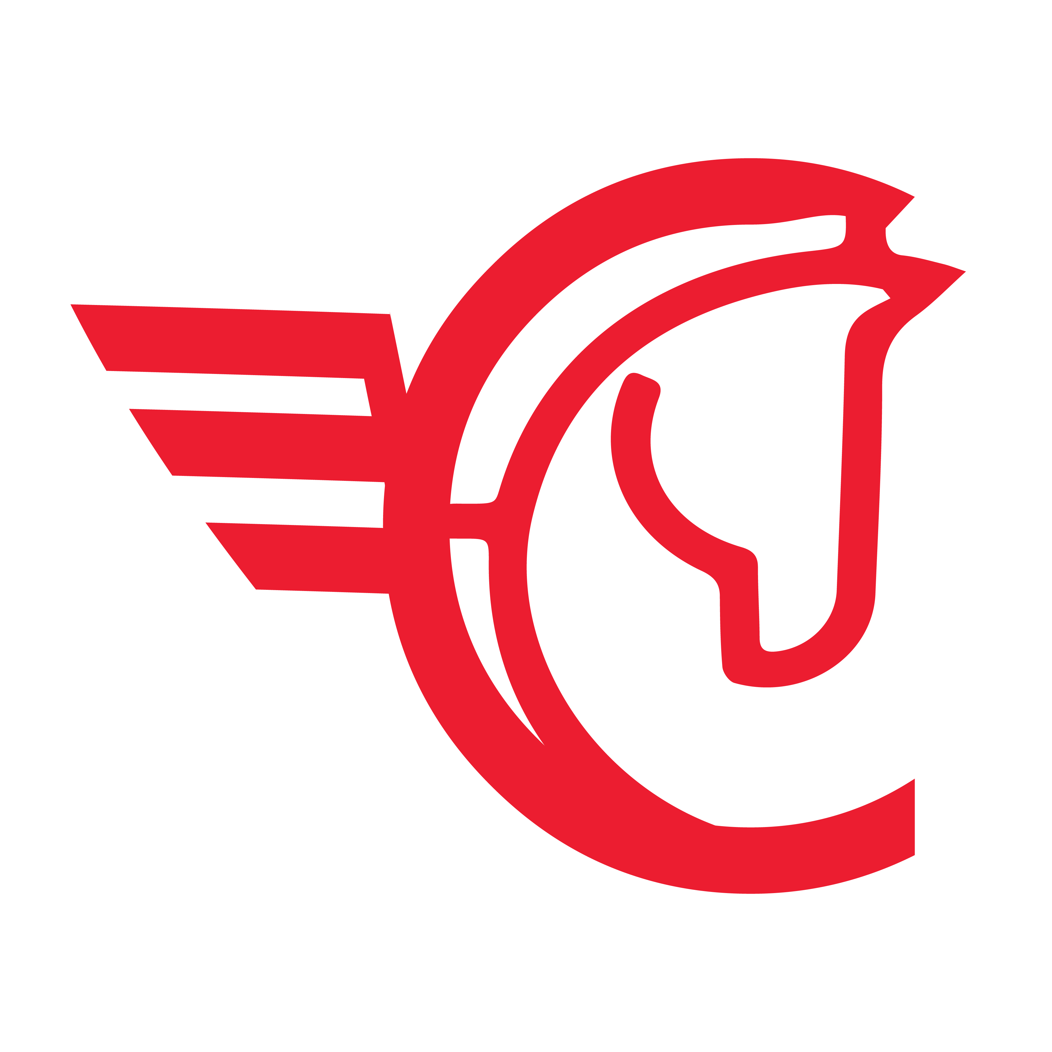 Chariot Software